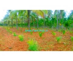 3 Acres Arecanut,Coconut Farm for Sale near Gubbi,Banawara road