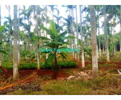 15 Acres Arecanut Farm Land for Sale near Kadur