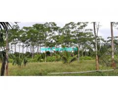 Well maintained 14 Acres Coconut Farm for Sale at Nanjangud Road