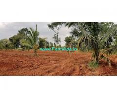 Well maintained 14 Acres Coconut Farm for Sale at Nanjangud Road
