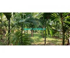 River attached 1.80 Acres Farm Land with House for Sale near Kuttikol
