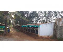 9.5 Acres Mango,coconut Farm with Poultry Farm for Sale in Chikmagalur