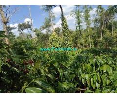 4 Acres Coffee Estate with Home Stay for Sale in Mudigere