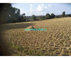 3 Acres 7 Gunta Agriculture Land for Sale in Mudigere