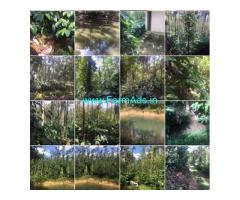 4 Acres Coffee Estate for Sale at Mudigere