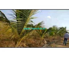 10 Acres Agriculture Land for Sale near Mallareddypet
