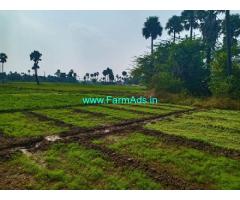 3 Acres Agriculture Land for Sale at Adibatla
