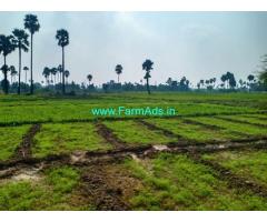 3 Acres Agriculture Land for Sale at Adibatla