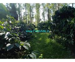 10 acre coffee estate for sale In Mudigere