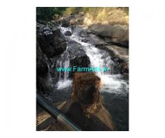 370 Acres Coffee Estate For Sale at Chikmagalur