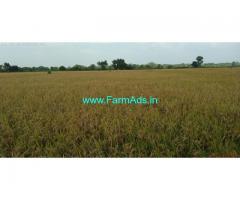 8 Acres Agriculture Land for sale in Thanjavur vai Tiruvarur In Ammapettai