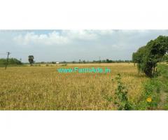 8 Acres Agriculture Land for sale in Thanjavur vai Tiruvarur In Ammapettai