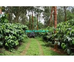 5 Acres Coffee Estate for Sale near Mallenahalli,BabaBudan Giri Hills
