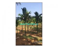 3 Acres Agriculture Land for Sale in Doddaballapur