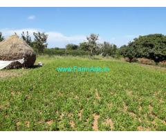 1.23 acre mango farm land for sale just 25 kms from mysore – near udbur
