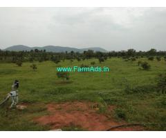 20 Acres Mango Farm for Sale near Bobbili