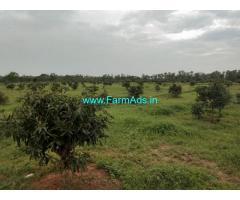 20 Acres Mango Farm for Sale near Bobbili