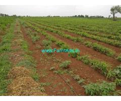 4 Acres Agriculture Land Sale near Kohir