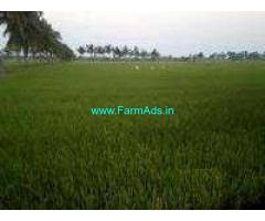 2 Acres Agriculture Land for Sale near Kovur
