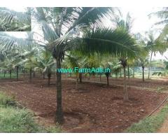 4.6 acre agricultural land for sale near Walayar