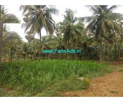4.6 acre agricultural land for sale near Walayar