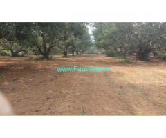 3 Acres Mango Farm for Sale near Sunkollu