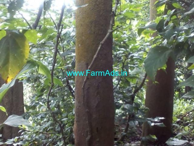 25 cent land with house for sale near Panamaram