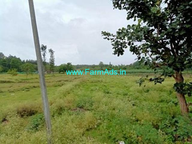 3 Acre agriculture Land For Sale near Guddenahalli