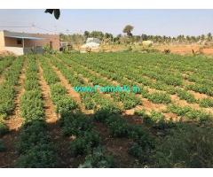 3 Acres Farm land available for sale near Doddaballapur