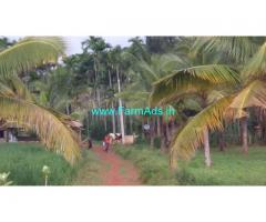 70 Gunta Farm land for sale near Chikmagalur,Kadur Road