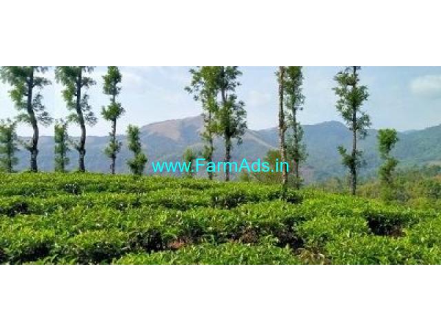 5 acre Tea estate for sale near Thalappuzha