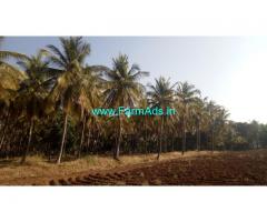 9 acre farm land for sale in Hiriyur, Chitradurga