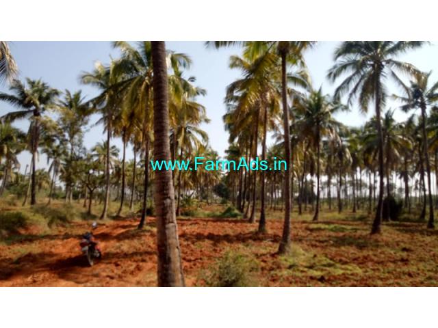 25 acre Coconut Farm land for sale at JJ Halli, Sira,