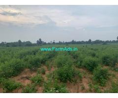 One Acre Agriculture Land for Sale Warangal high way & Yadagirigutta
