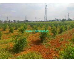 18 Acer Agriculture Land And Farm Land for sale near Dharapuram.