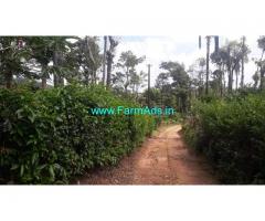 0.5 Acre Coffee Plantation for sale in Chikmagalur