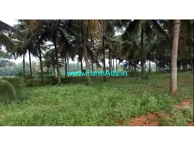3 Acres Coconut Farm for sale near Nanjangud