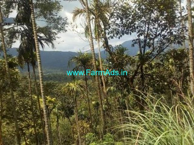1 Acre Land for sale near Mananthavady