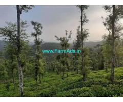 3.90 cent Farmland land for sale near Mananthavady