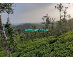 3.90 cent Farmland land for sale near Mananthavady