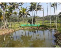 4.5 Acre Farmland sale near Mananthavady