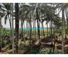 4.5 Acre Farmland sale near Mananthavady