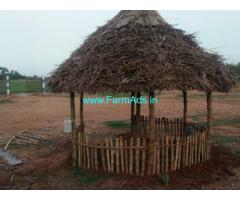 Farm land project with 3 years maintenance for Sale near Kanchipuram