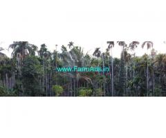 1 Acre Arecanut Farm for Sale near Bandadka