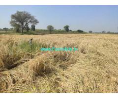 4 Acre Agriculture land for Sale at Kamareddy
