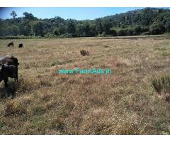 1.5 Acre Farmland for sale near Chikmagalur