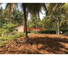 4 acre coconut farmland for sale near Tiptur, 3 hour from Bangalore