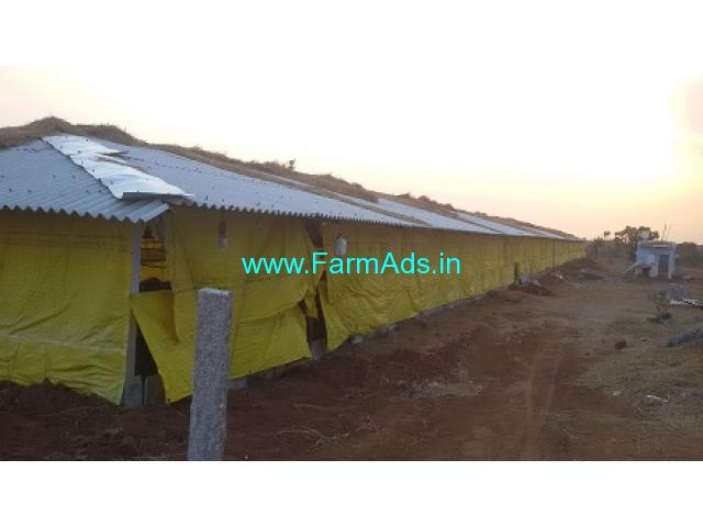 2 Acres Agriculture Land with Poultry Farm for Sale Chegunta