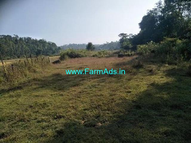 10 Acre Agriculture Land for sale near Chikmagalur
