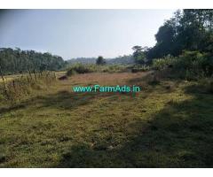 10 Acre Agriculture Land for sale near Chikmagalur